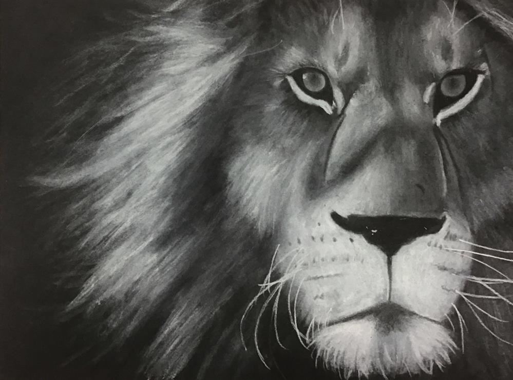 Reverse Drawing - white charcoal on black paper