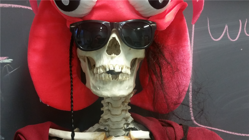 153 mascot